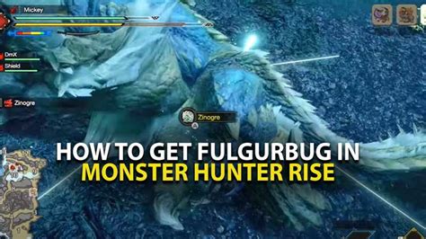 Fulgurbug .